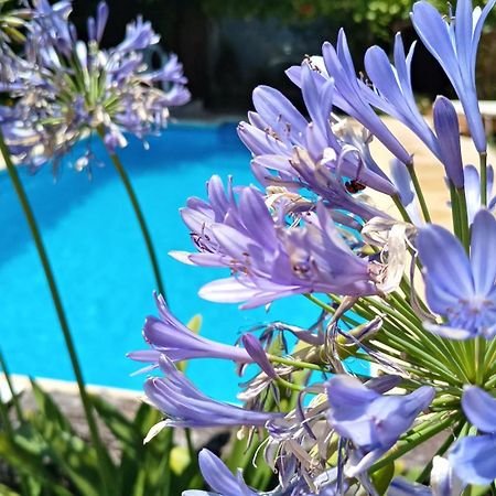 Posada Villa Club, Apart 3 Cerca Del Aeropuerto El Palomar Hurlingham Dış mekan fotoğraf